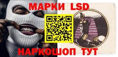 стафф Славгород