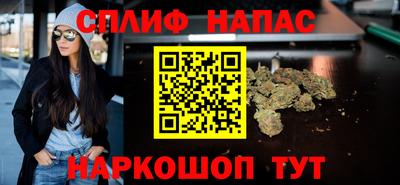 стафф Славгород